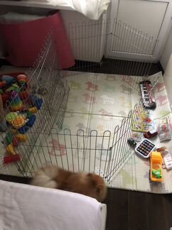 Вольер для собак мелких пород и щенков