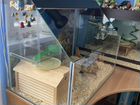 Террариум/аквариум для черепахи, 60л