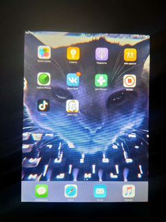 iPad