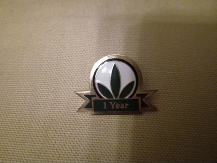 Значки Гербалайф 1998г