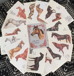Набор открыток с лошадьми, брошки и календарики