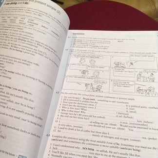 English grammar in use raymond murphy синий