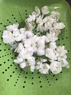 Цветки жасмина сушеные