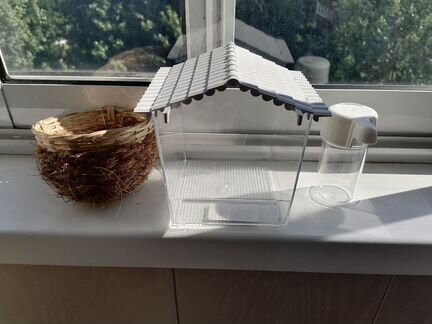 Гнездо, поильник, ванночка в клетку