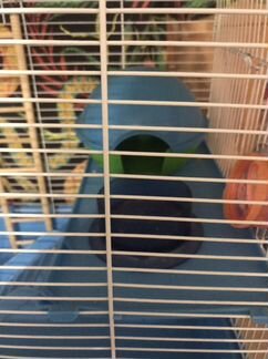 Клетка для хомяков, крыс и других грызунов