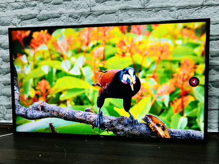 Premium LG 55 4K UHD HDR10 smart TV wifi